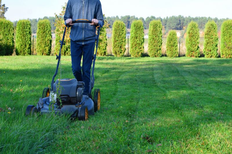 Affordable Lawn Care Costs — Cost of Lawn Care Service
