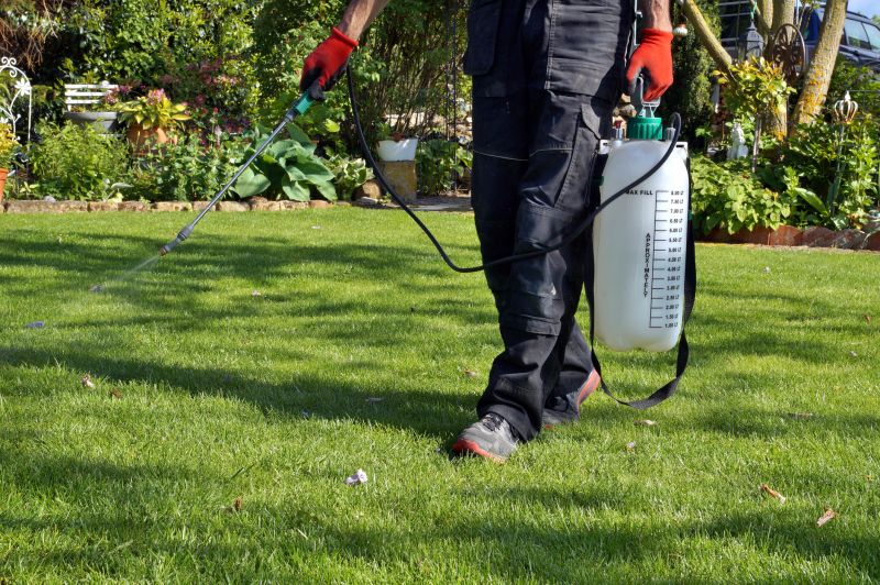 Affordable Lawn Care Costs — Cost of Lawn Care Service