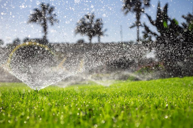 Irrigation System Services