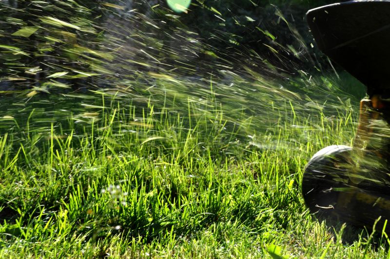 Weed Control